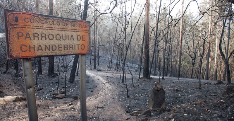 Resultat d'imatges de imatge incendis galicia