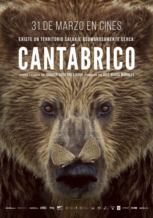 Cantábrico. Los dominios del oso pardo